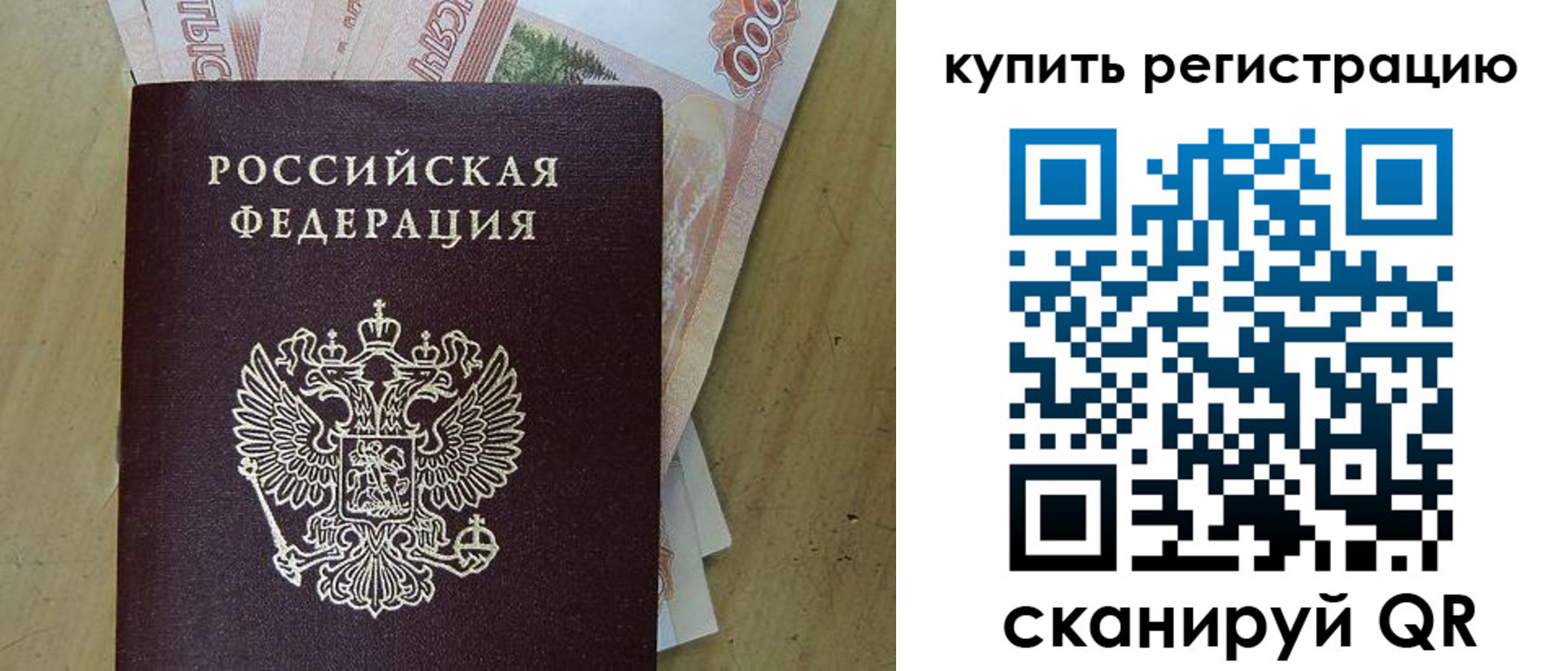 временная регистрация поиск в Курской области